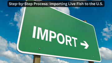 🐠 Step-by-Step Process: Importing Live Fish to the U.S.