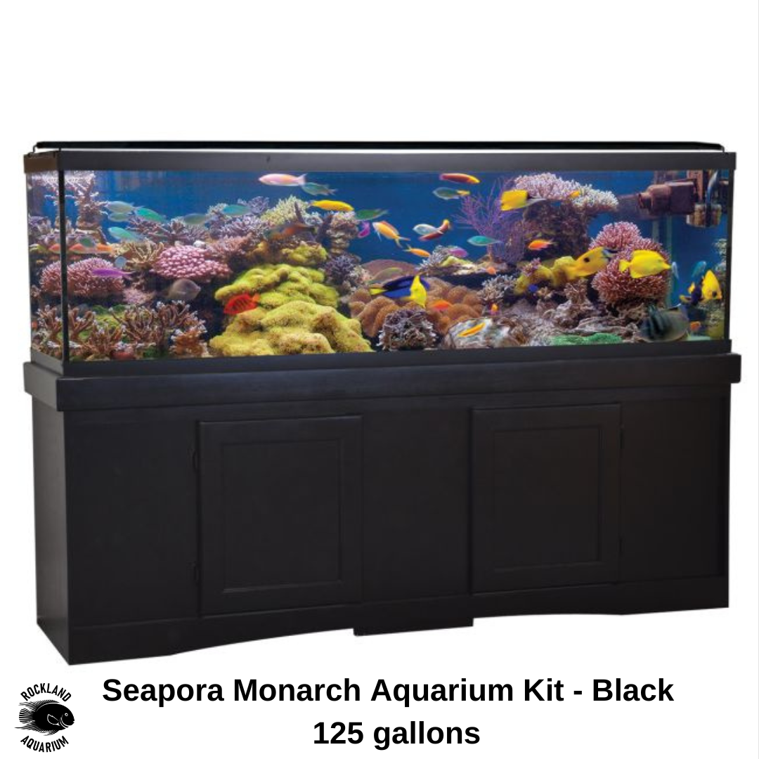 Seapora Monarch Aquarium Kit - Black - 125 Gallons