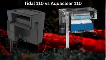 AquaClear 110 vs. Seachem Tidal 110: Which Hang-On-Back Filter Is Better?