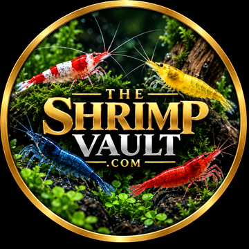 Shrimp
