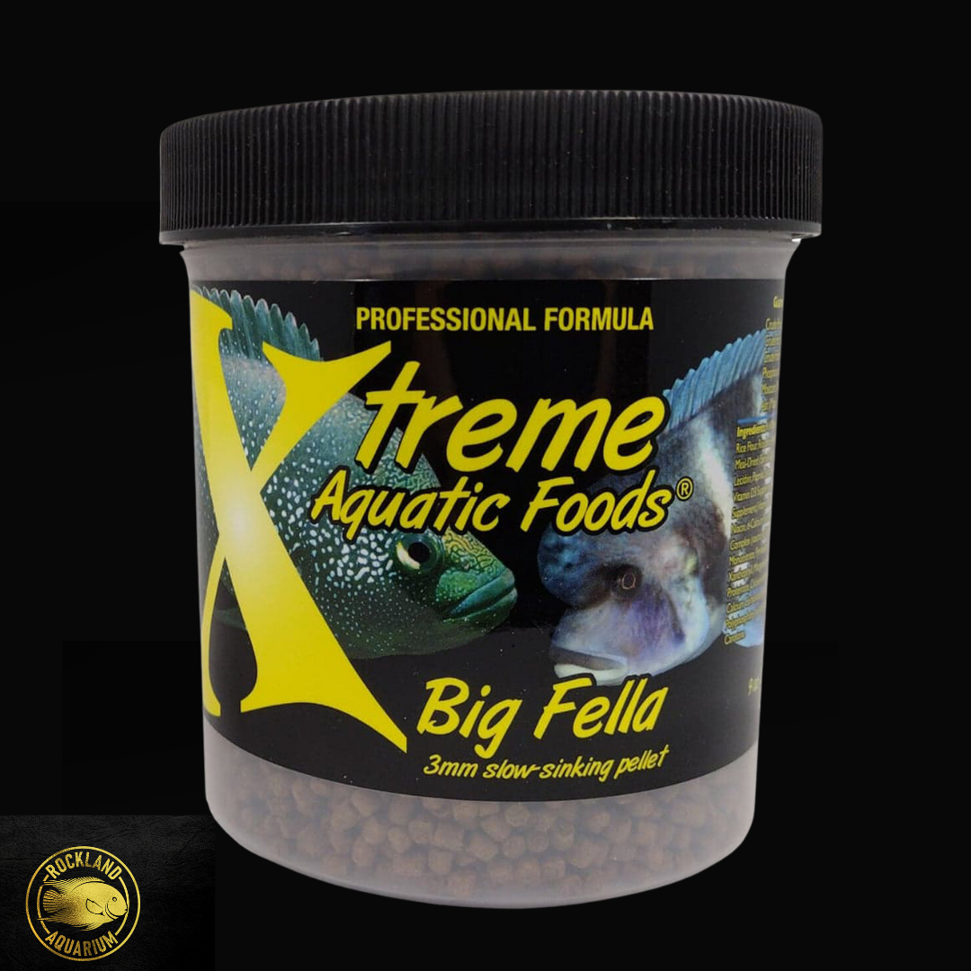 Xtreme Big Fella ™ - 3mm slow-sinking pellet FREE SHIPPING