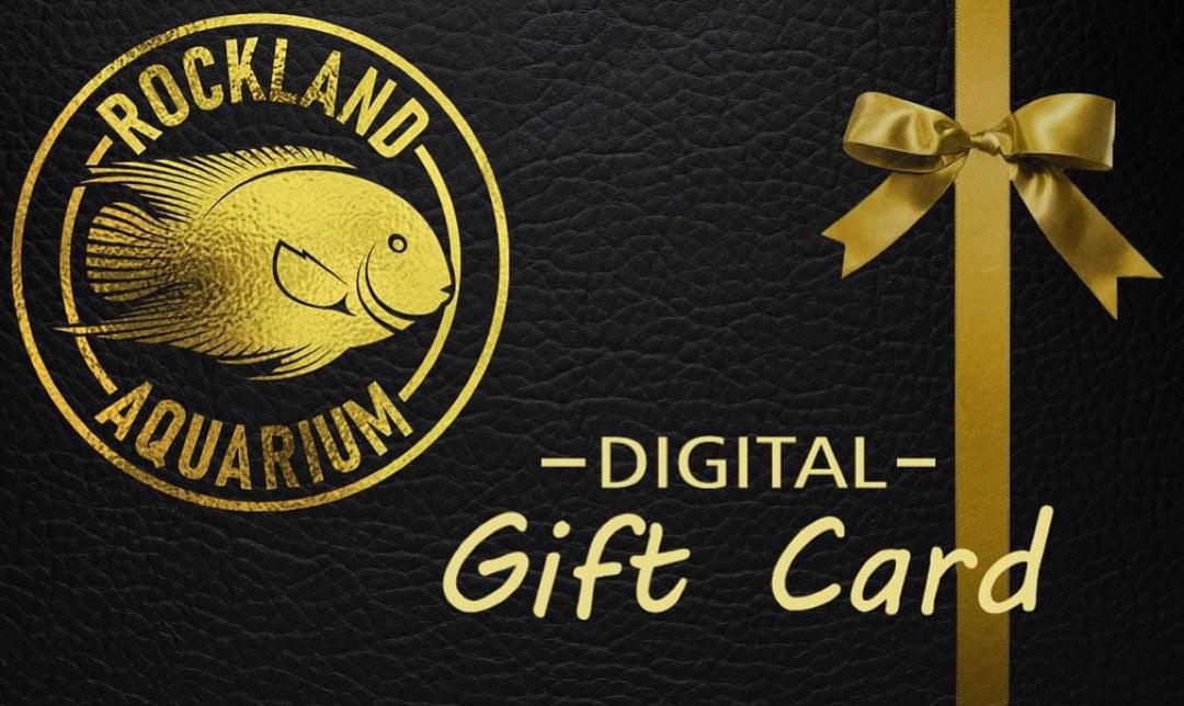 Rockland Aquarium Digital Gift Card