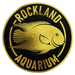 Rockland Aquarium