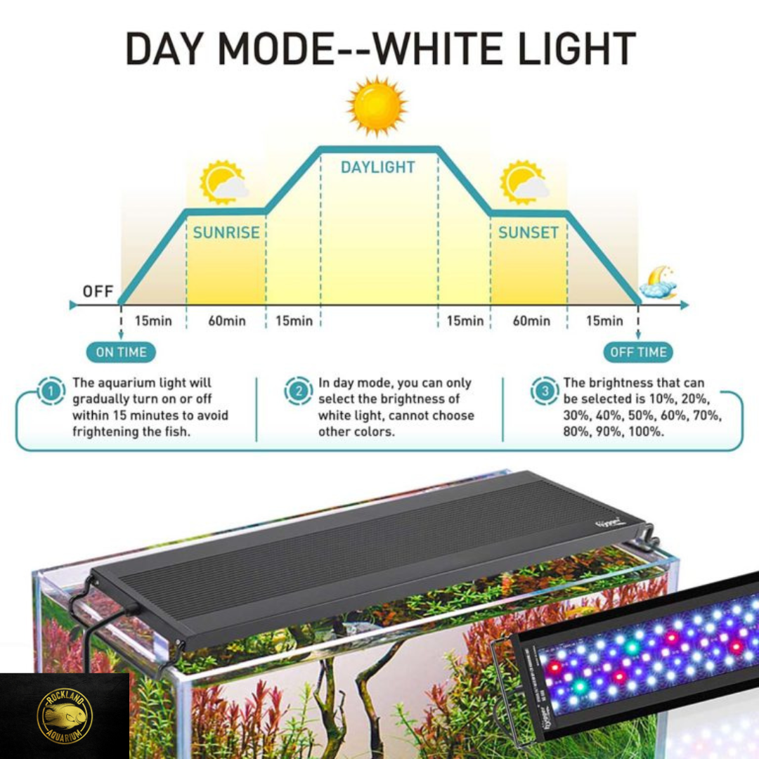 Hygger Auto On Off LED Aquarium Light HG-999