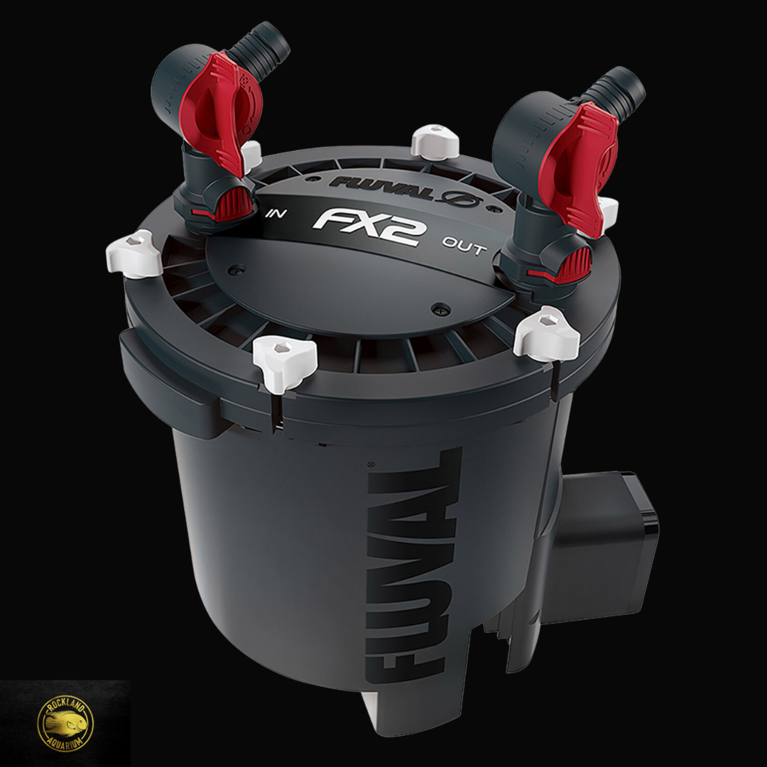 Stunning High-Capacity Canister Filter Designs For Goldfish Tanks With A High Bioload image